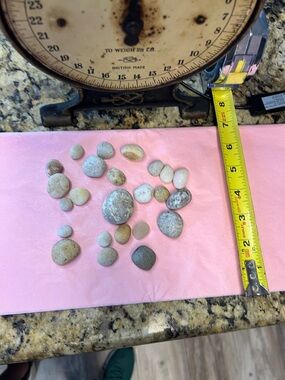 Mixed Potomac River Pebble Collection - Natural Gray & Tan